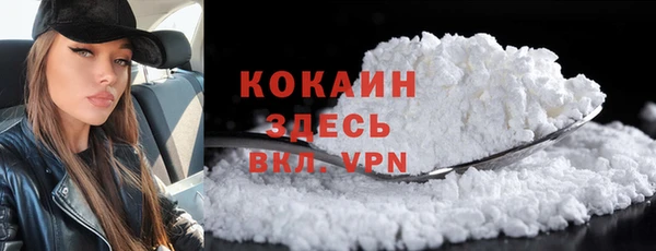 прущие грибы Балабаново