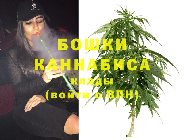 прущие грибы Балабаново