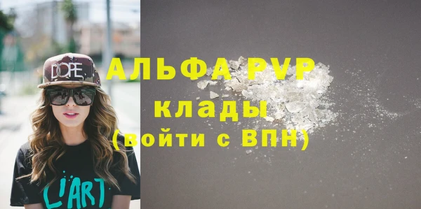прущие грибы Балабаново