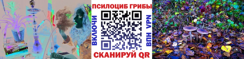 kraken сайт  где купить   Унеча  Галлюциногенные грибы ЛСД 